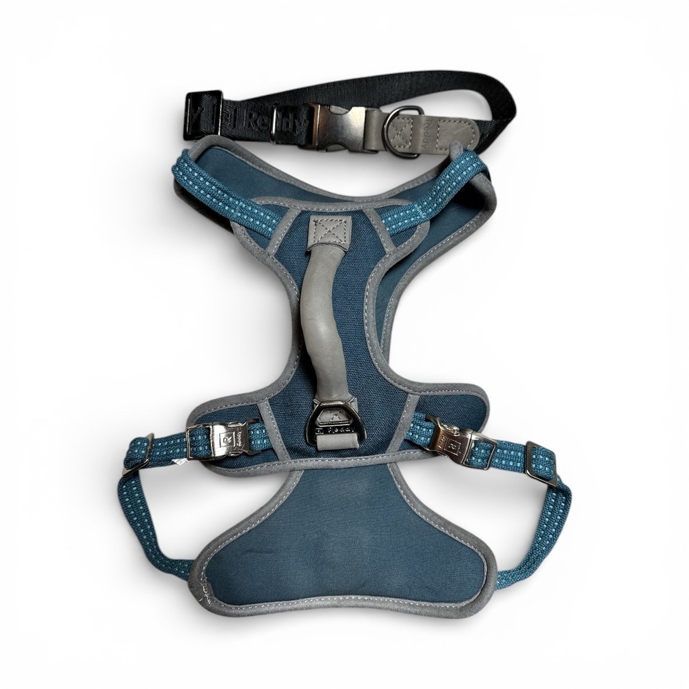 Reddy Large Dog Harness and‎ Collar - Adjustable, Durable Nylon, Metal Clips
